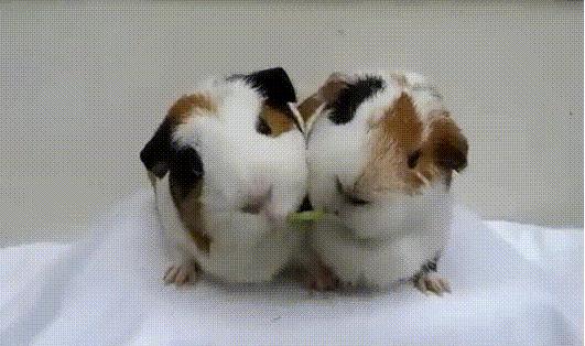 调侃国足出线的顺口溜虽败犹荣,国足出线形势分析搞笑