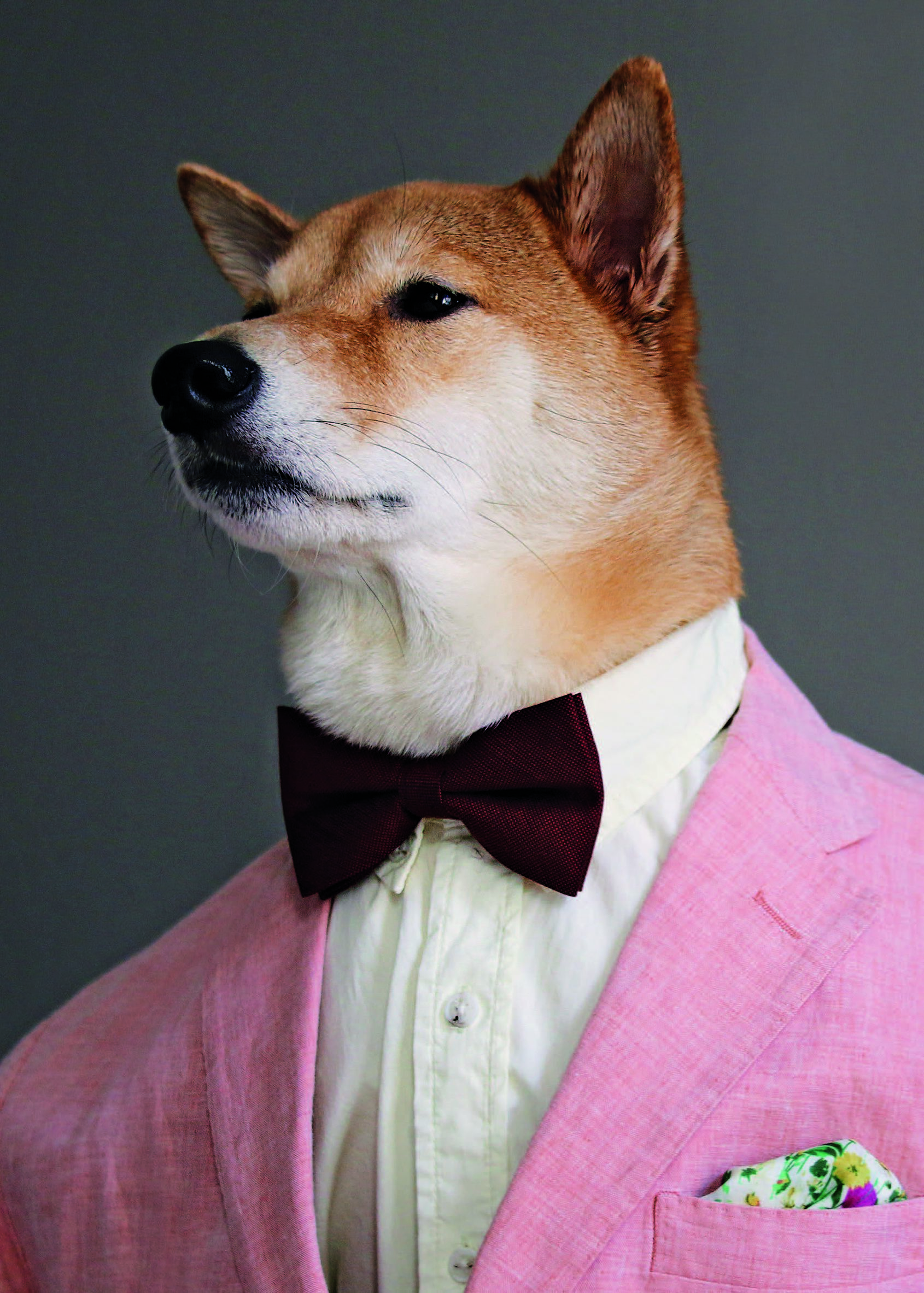 男春季穿搭技巧,春季男士穿搭禁欲奶狗风