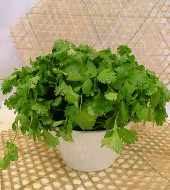 立春如何养生健康,立春养生的最佳方法