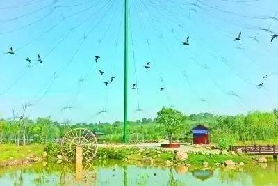 武汉最牛的景点,2019年武汉最高的标志性建筑