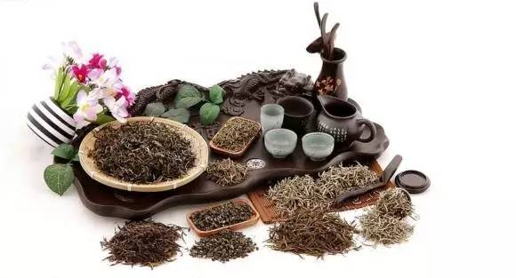 茶叶是个宝喝得好胜过冬虫夏草,茶叶也是好东西