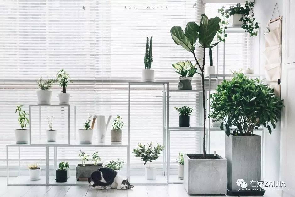 柔和舒适的房屋,小巧温馨舒适的房子