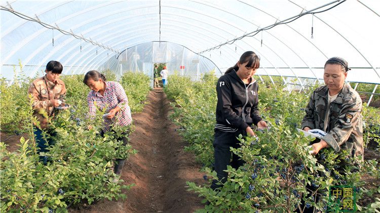 砥砺奋进的五年文化成就图片,砥砺奋进的五年成就评论