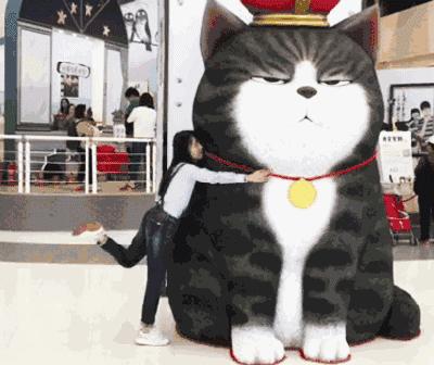 盘点十大网红萌宠,盘点全网6只网红萌宠