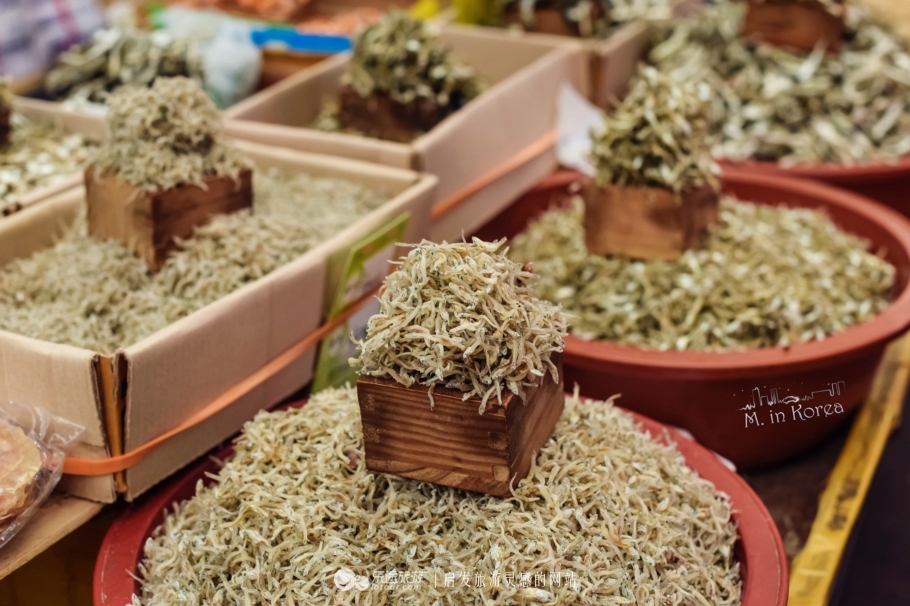 跟着RM探寻济州东门市场