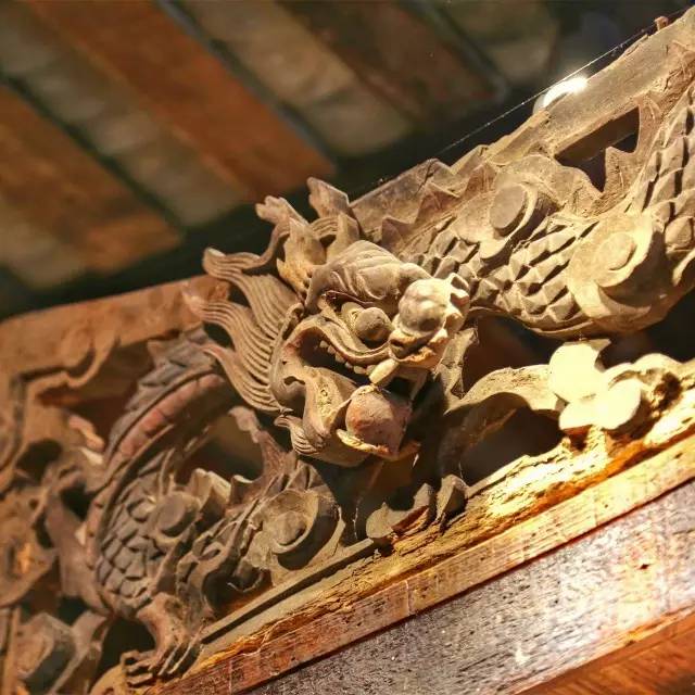 武汉吃甲鱼的最佳季节,武汉水果湖吃甲鱼的地方