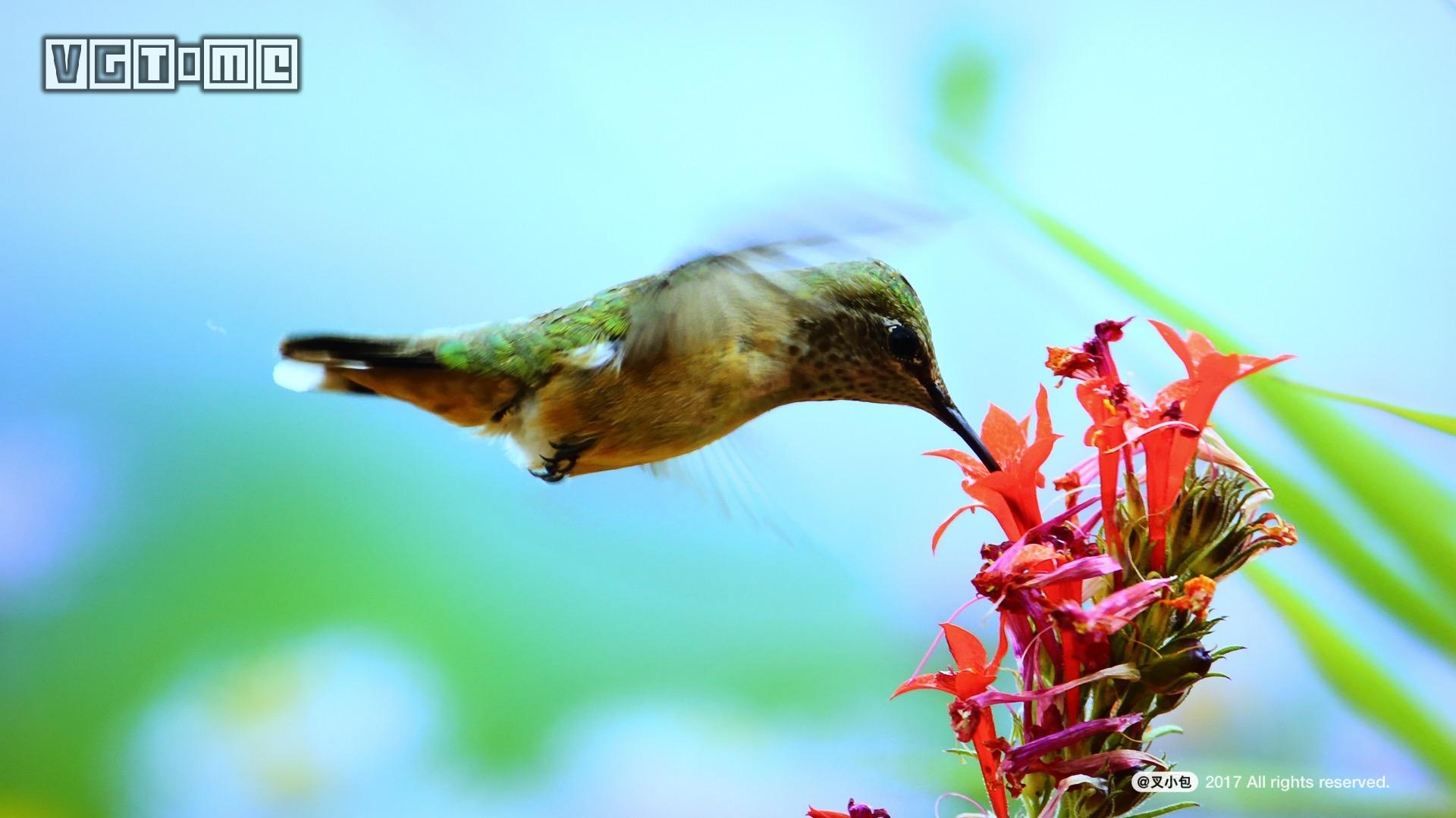 索尼新品4k超高清电视,索尼65x9000e电视机深度测评