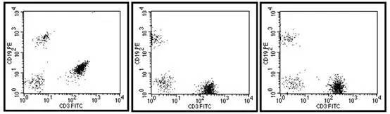 你这磨人的小妖精视频,你这磨人的小妖精下一句是什么呢