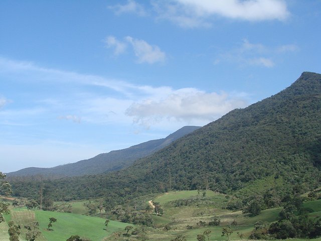 在斯里兰卡旅游必做的10件事,在斯里兰卡的难忘旅行经历