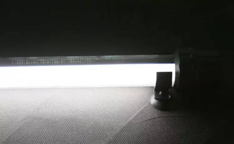 龙鱼须怎么处理,龙鱼侧游怎么办