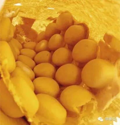 剁手网购日常,剁手shopping