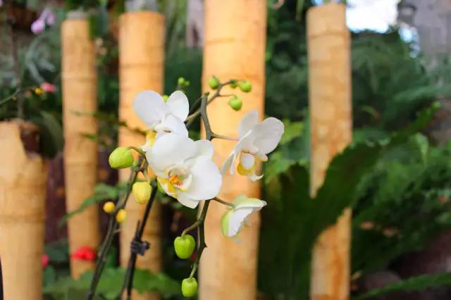 顺时而食节气美食推荐惊蛰篇,今日惊蛰食谱大全