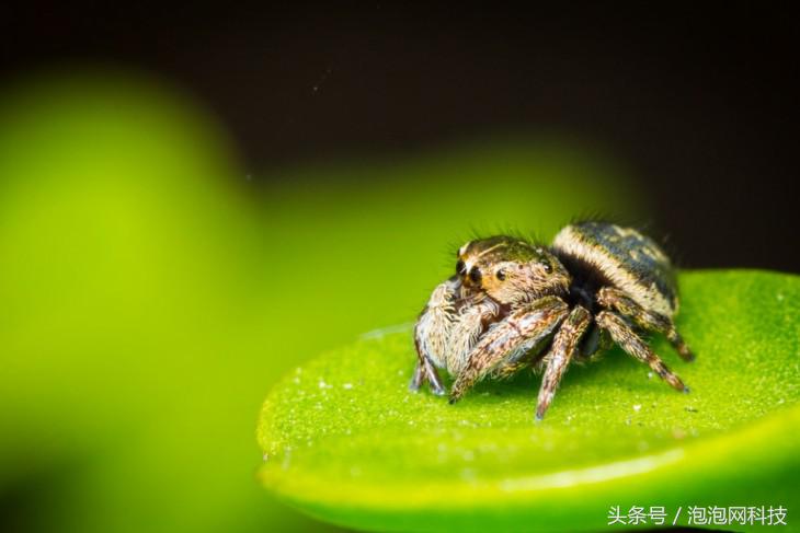 适合拍淘宝产品的镜头,开淘宝店拍商品