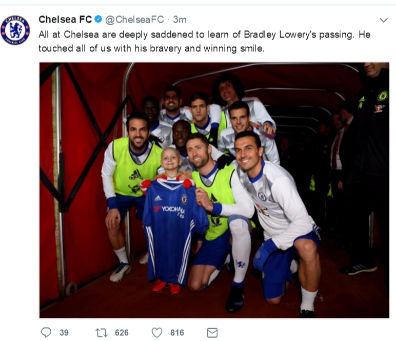 小布拉德利最后的话,小布拉德利视频