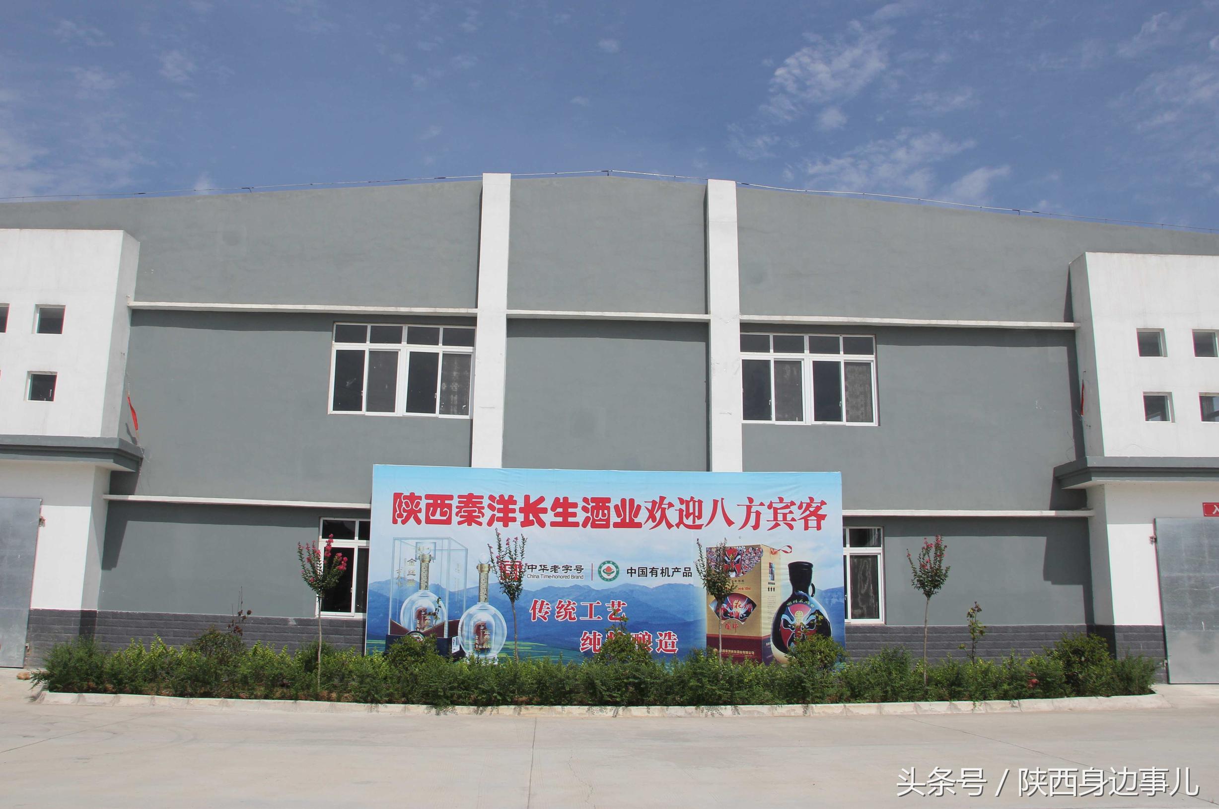 洋县秦洋长生酒业谢村黄酒,洋县秦洋长生酒业抖音号