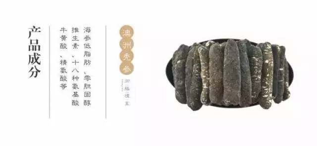 澳洲海参之秃参食补功效及注意事项