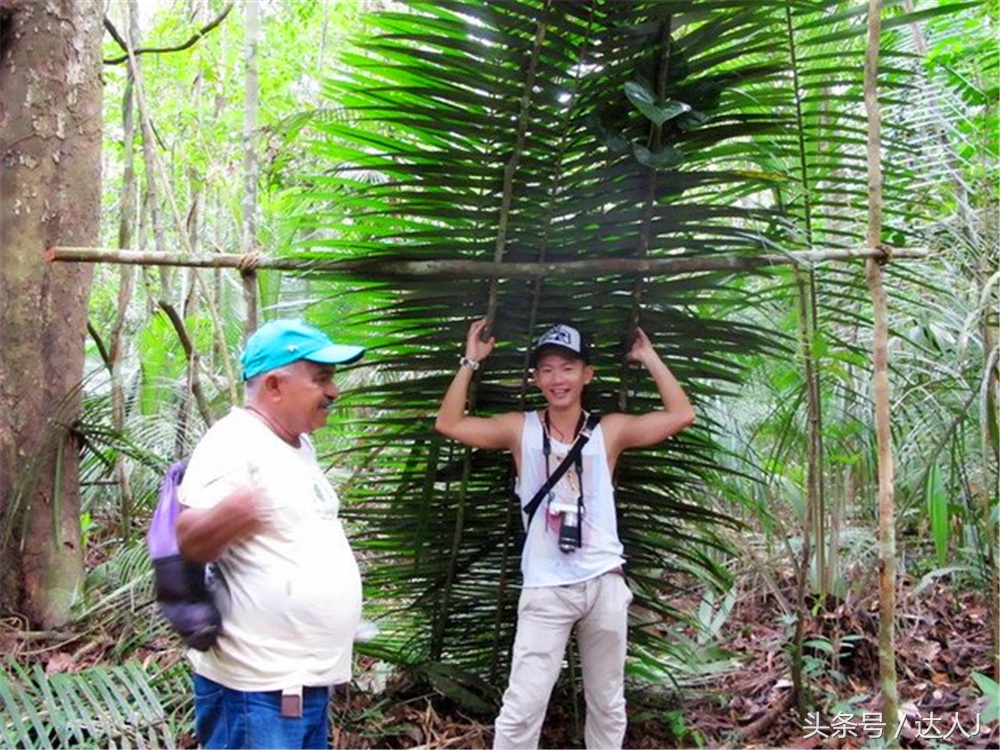 达人J：巴西的盛宴