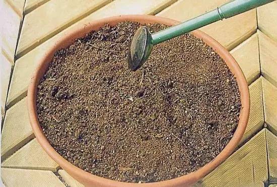 重庆小面的做法教程新手零基础学,你知道重庆小面有多少种调料