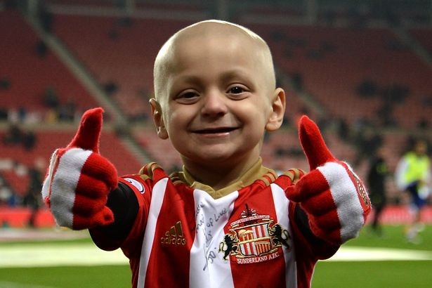 小布拉德利最后的话,小布拉德利视频