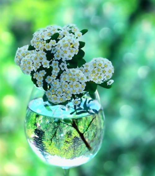 好听的句子唯美短句,好听的句子唯美短句学生