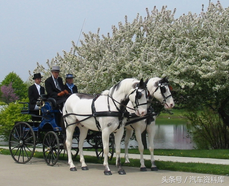 car有哪些种类,老司机分不清楚的4个交通标志