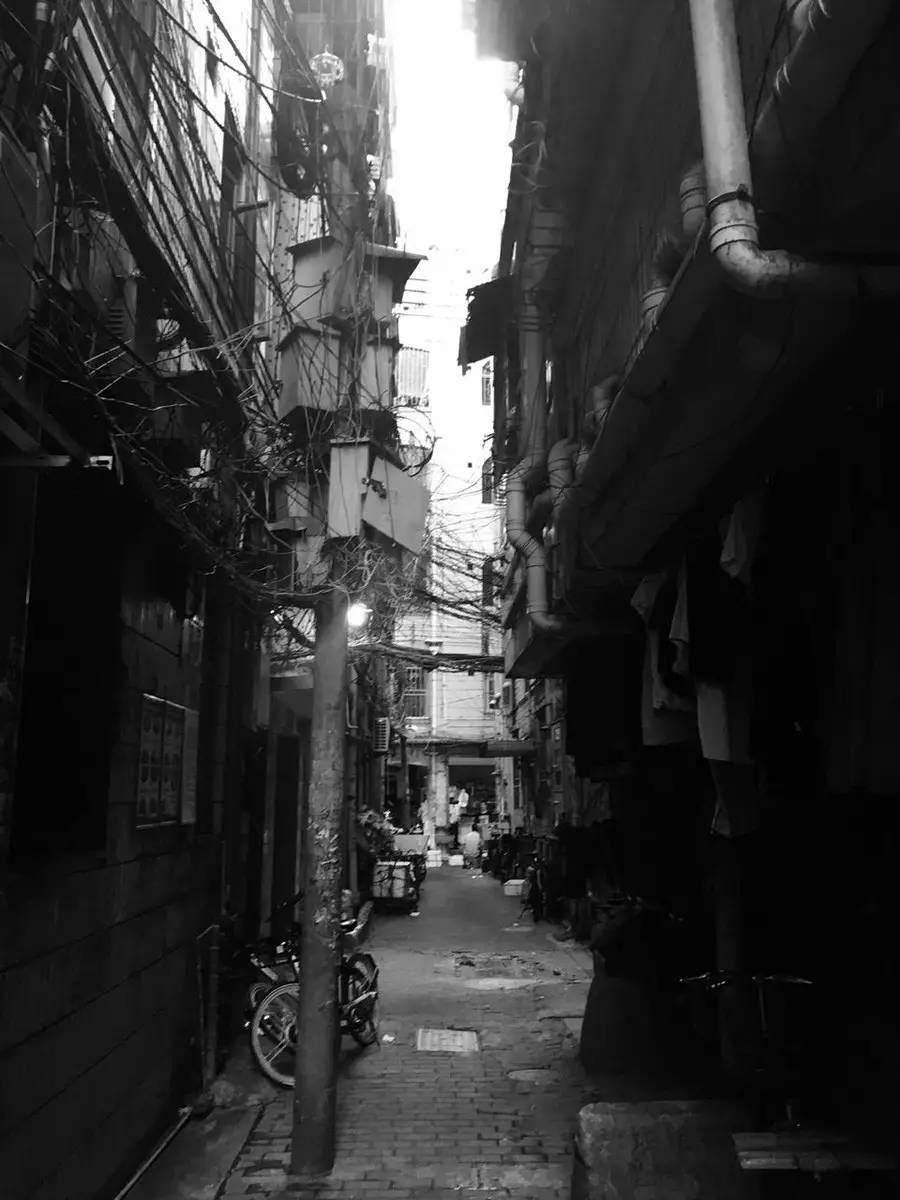 深圳最大的城中村白石洲村,深圳最大城中村之一的白石洲