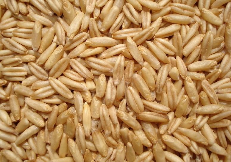 有助睡眠的五大类食物，睡觉不好的快收藏起来吧