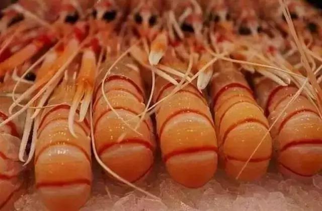 新西兰十大顶级食材,新西兰海鲜有哪些品类