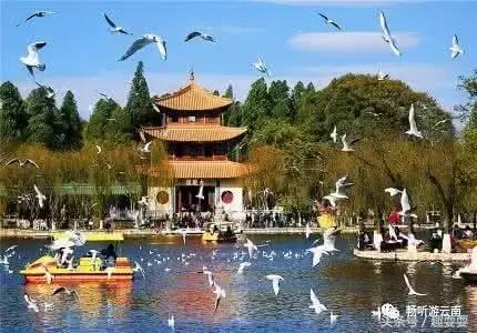 昆明周末休闲一日游,昆明情侣一日游的最佳景点