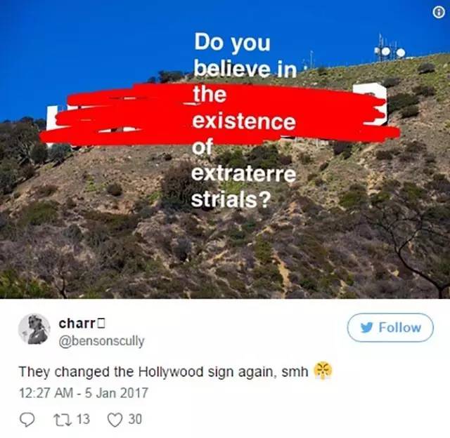 撒盐宝贝、斜眼鸭，上半年被歪果网友玩坏的那些梗！