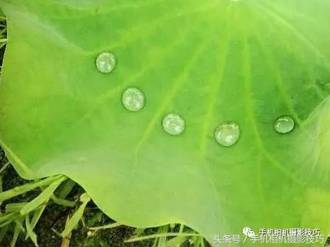 拍好照片的三个标准你值得一看,拍一张好照片容易吗