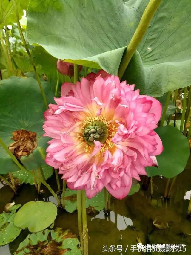 拍好照片的三个标准你值得一看,拍一张好照片容易吗