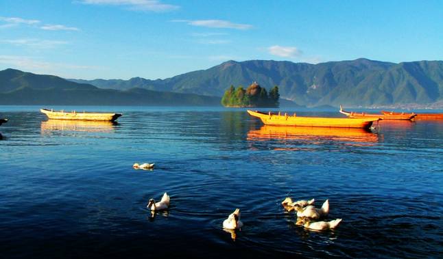 云南旅游全攻略自由行美食,别再问攻略