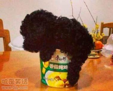 浜よ闃熷府鏈嬪弸澶勭悊杩濈珷,鍘讳氦璀﹀ぇ闃熺粰鍝ヤ滑澶勭悊杩濈珷