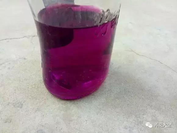 植物起死回生 (让植物起死回生的小妙招)