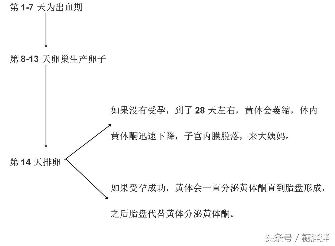 孕妈们孕酮,孕妈如何补充孕酮