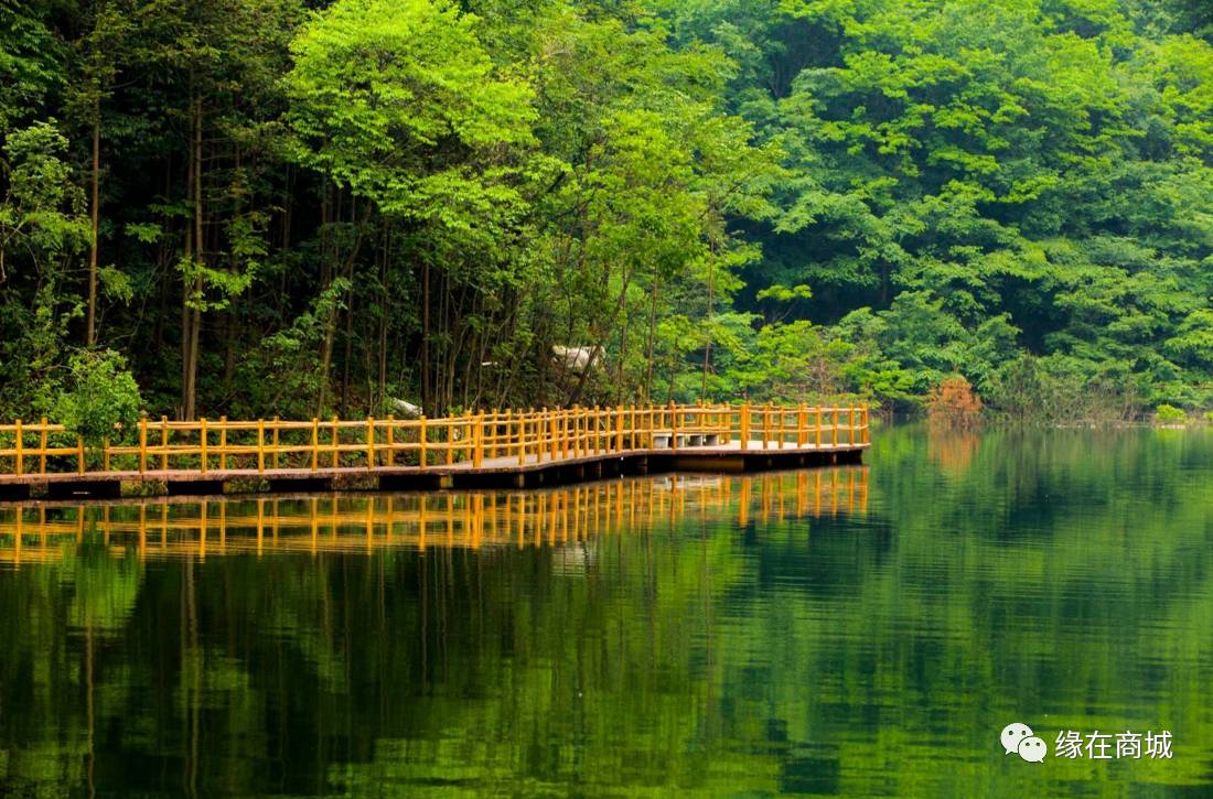 盛夏七月，商城县这几个地方被避暑游客挤爆了……