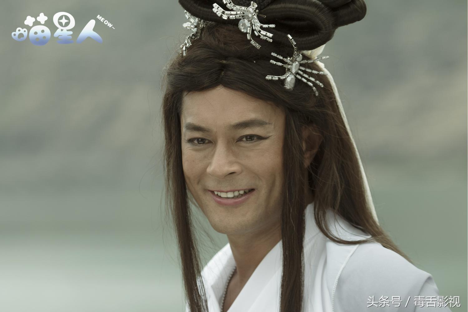 五句话夸猫咪可爱作文,关于喵星人的好听句子简短