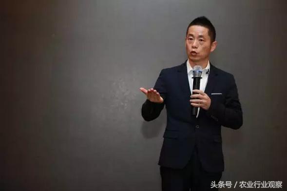 阿里巴巴联合国助力,阿里战略调整农村电商