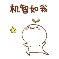 12306购票信息预填全套操作,12306订票攻略