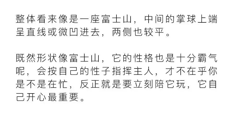 猫爪肉球形状判断猫咪性格,猫咪肉球颜色决定猫咪性格