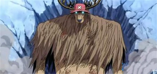 海贼王恶魔果实的寄宿者,海贼王目前出现的恶魔果实