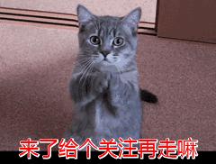 2017年微商十大排名榜,最火的微商卖什么最好