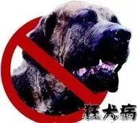 30岁男子突然口水不止暴毙身亡，养宠物的请注意：遇到这种情况立马去医院