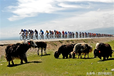 环湖赛在国外的知名度,环湖赛今日结果