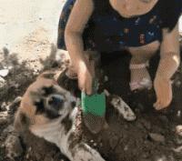 媳妇把酒瓶子放下，别玩了