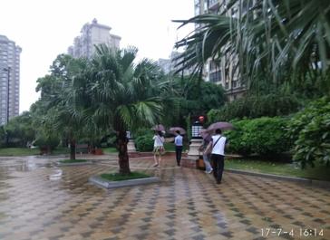 海南买房的理由,海南自贸港买房