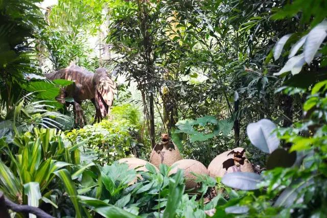 广州旅游攻略长隆动物世界,去广州旅游攻略长隆动物园