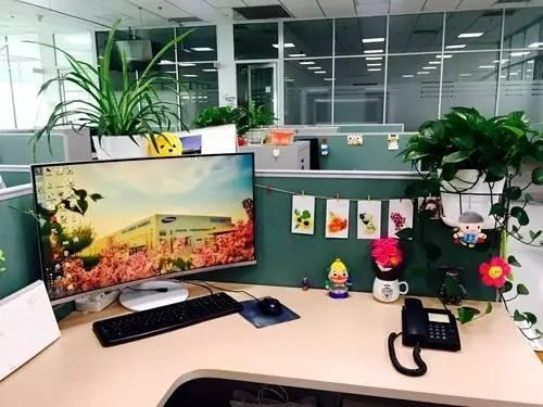 什么？泰达的办公空间都这么美？哪个是你心中最爱！