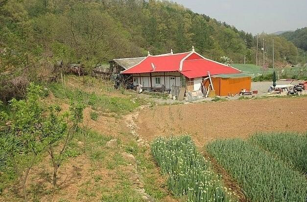 闺蜜远嫁韩国农村,闺蜜嫁到农村见到房子惊呆了